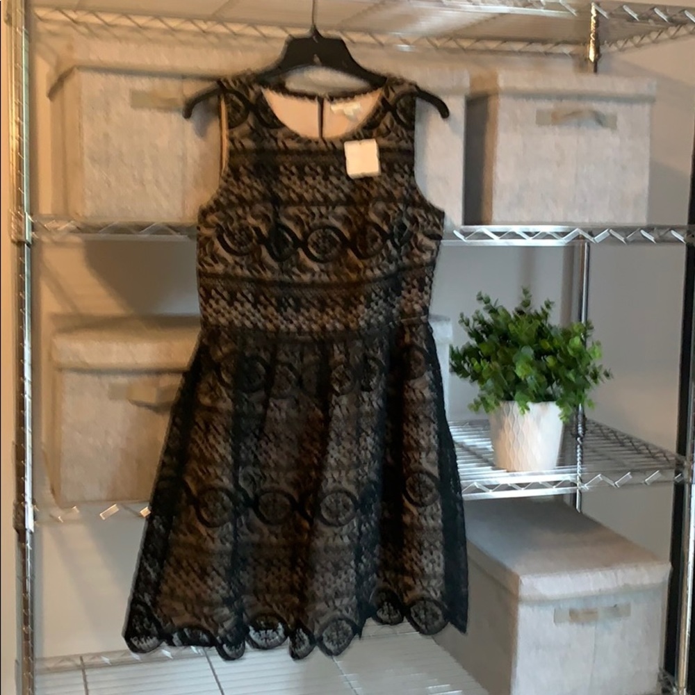Black Lace Dress